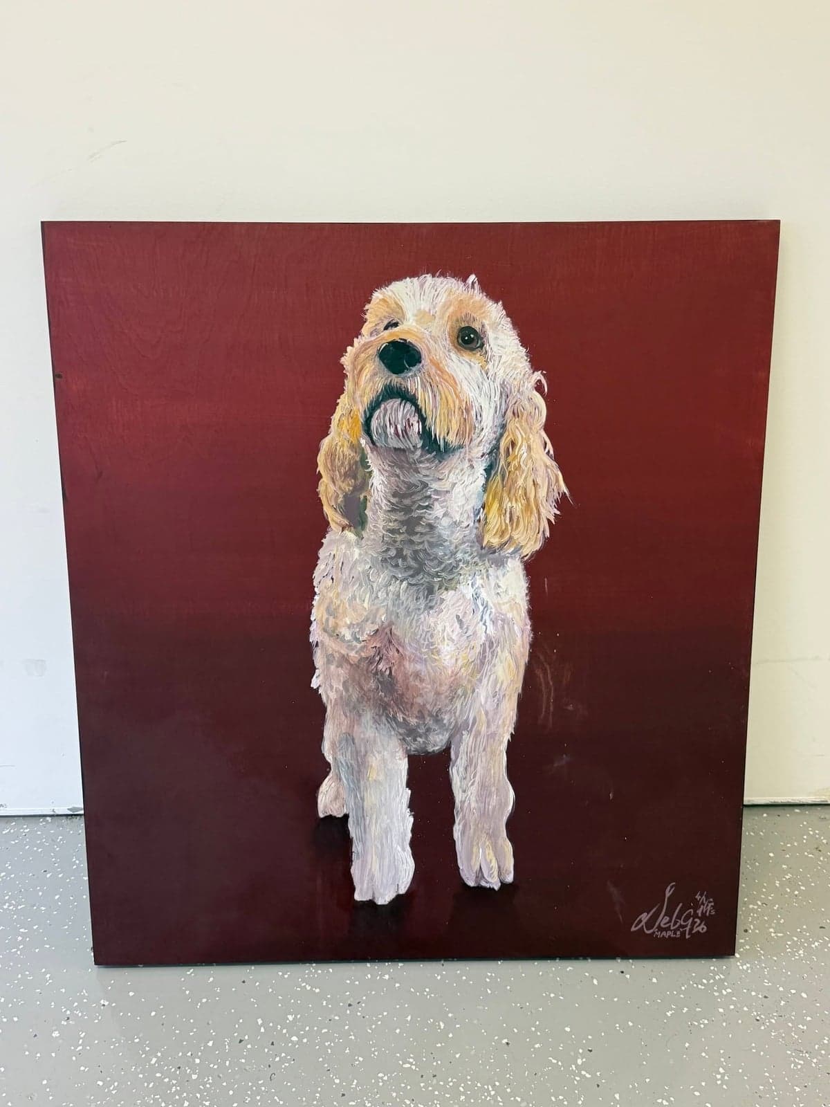 Maple, a curly-coated cream and apricot dog, stands square to the viewer and gazes upward against a deep crimson ground. The coat is built up in short, looping strokes of white, lilac and gold, catching the light along the ears and chest, with the name signed in the lower corner.