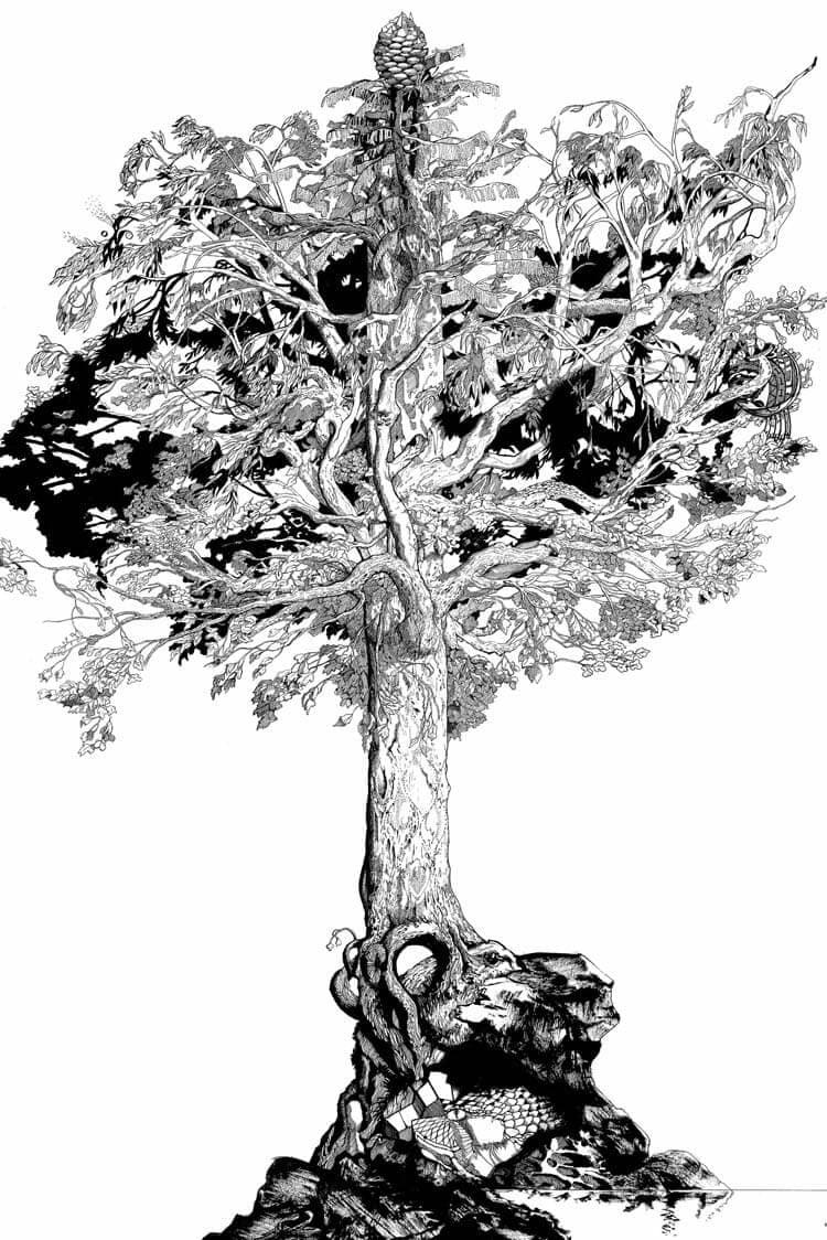 A detailed black ink drawing of a single tree, its canopy dense with leaves and a cone at its crown, rooted in a rocky outcrop.